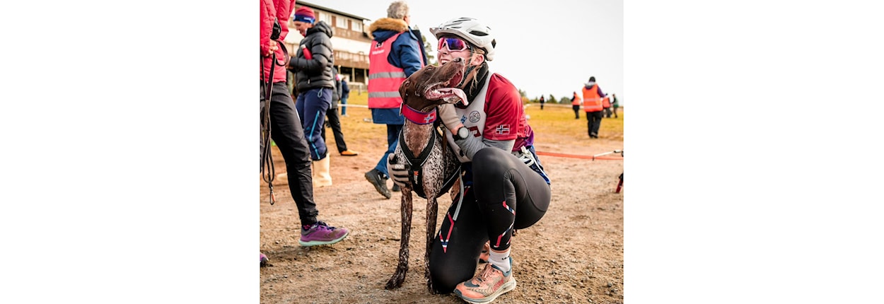 Barmark: IFSS wch USA